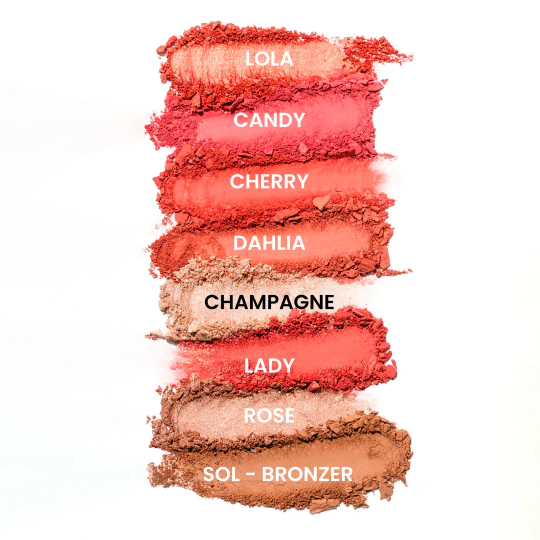 PALETA DE RUBOR LIGHT SET 8T DE MONTOC