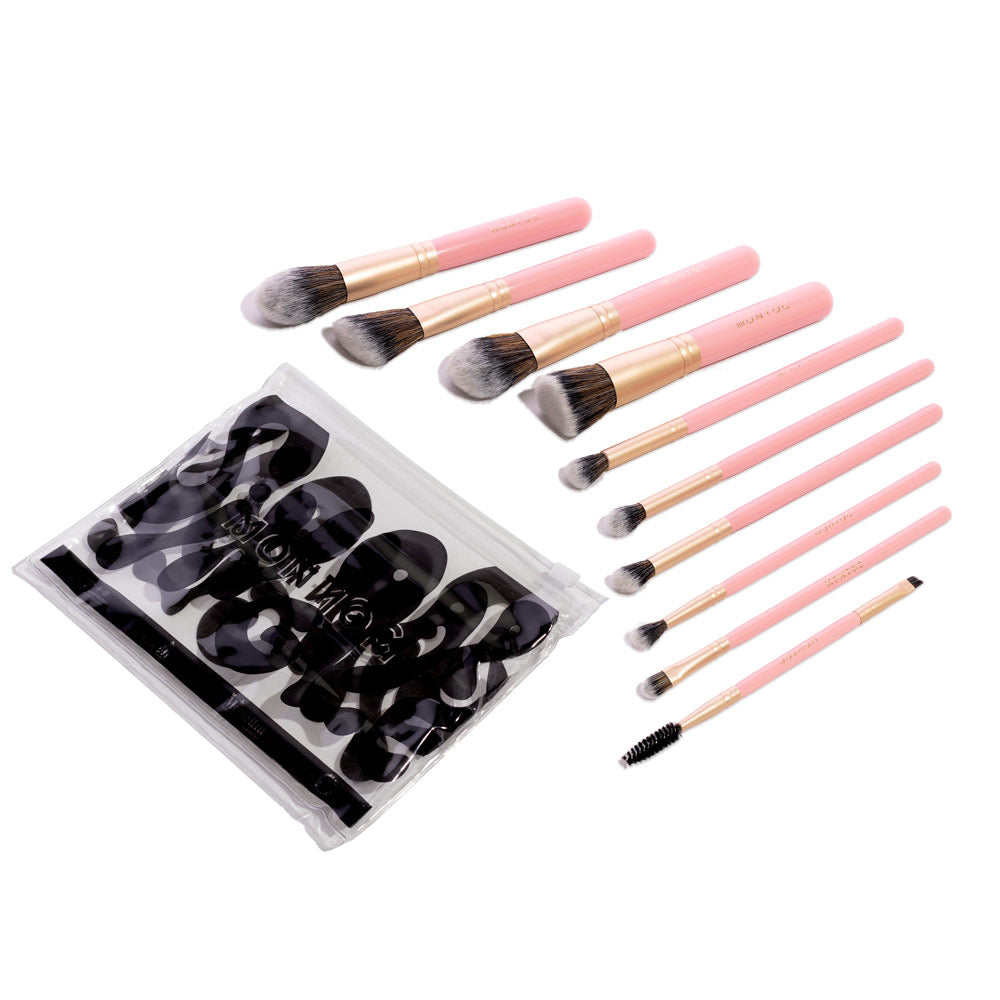 KIT DE BROCHAS SINGOLARE X 10 LP600 DE MONTOC