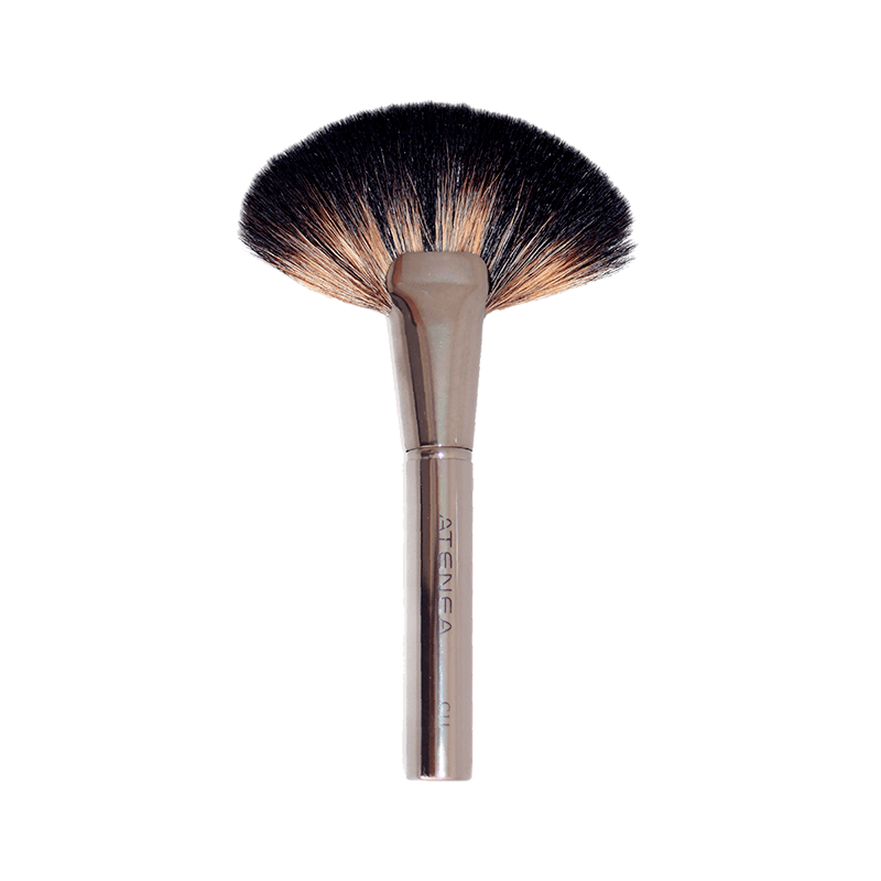 Brocha Abanico Brocha Grande De Maquillaje Brocha Abanico Grande